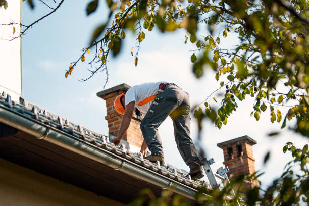 Best Roof Gutter Cleaning  in Mcallen, TX