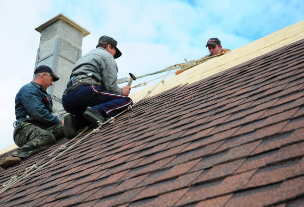 Best Residential Roofing Contractor  in Mcallen, TX